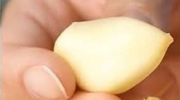El Garlic: The Natural Antibiotic That Wages War on Infections