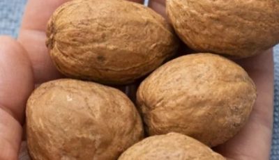 Avocado Seed Remedy for Joint Pain: A Natural Anti-Inflammatory Solution